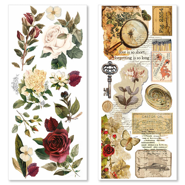 Cabinet of curiosities Art stickers 5/Pkg (12x26 cm)