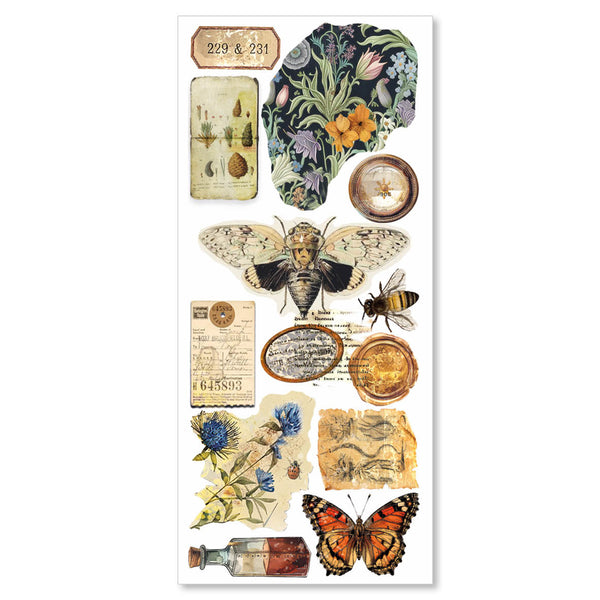 Cabinet of curiosities Art stickers 5/Pkg (12x26 cm)