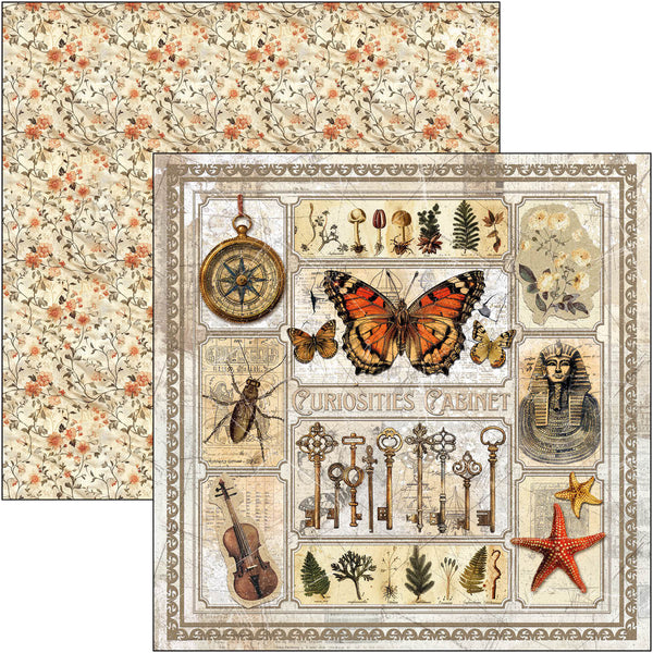 Cabinet of curiosities paper pad 12x12 (12-pk)