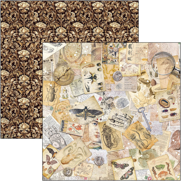 Cabinet of curiosities patterns pad 12x12 (8-pk)