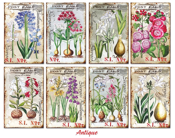 Antique - MINI scrapbook papirer (24 stk)