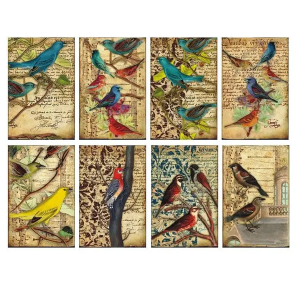 Birds - MINI scrapbook papirer (24 stk)