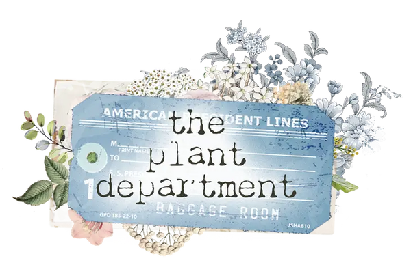The Plant Department - Secret Garden Door 12x12