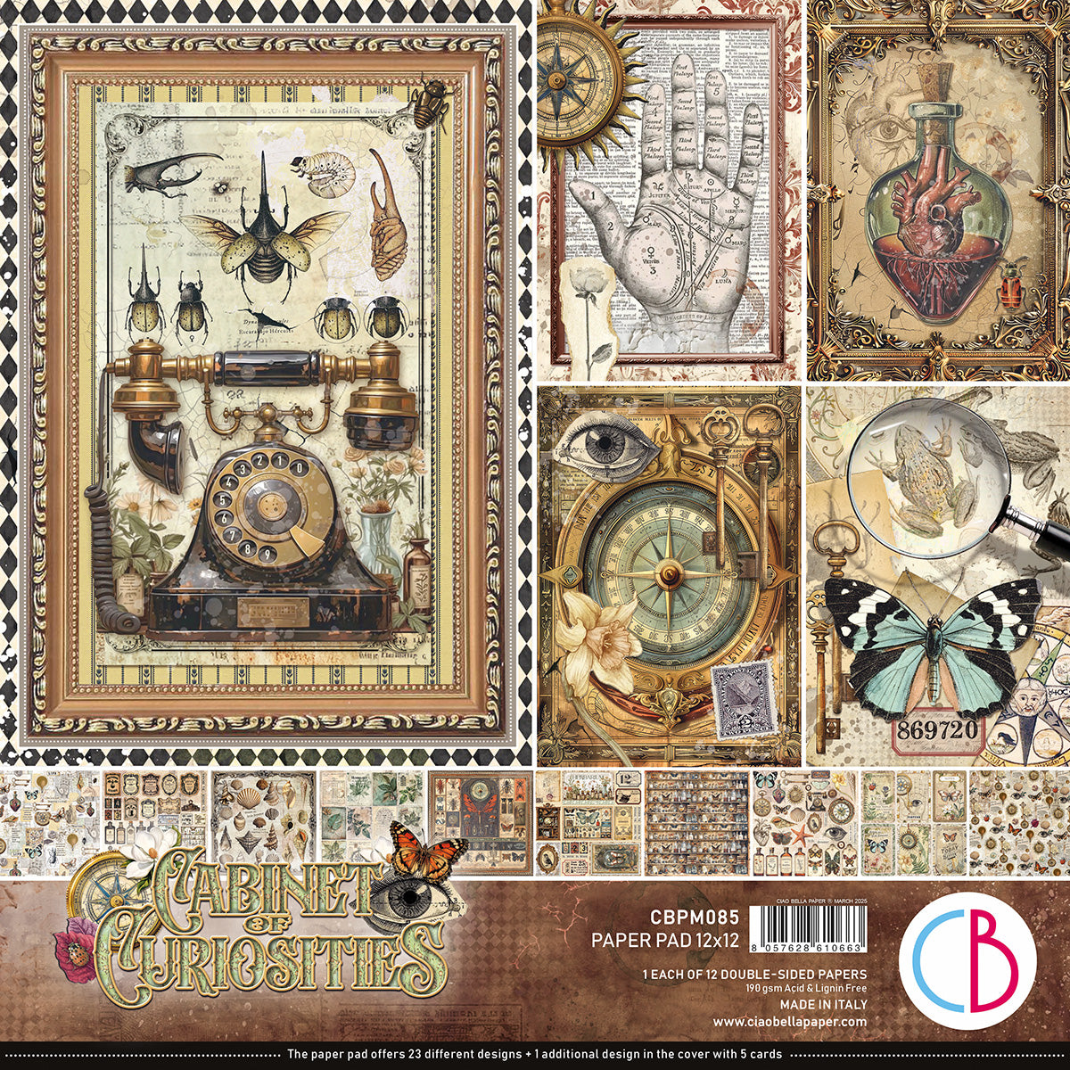 Cabinet of curiosities paper pad 12x12 (12-pk)