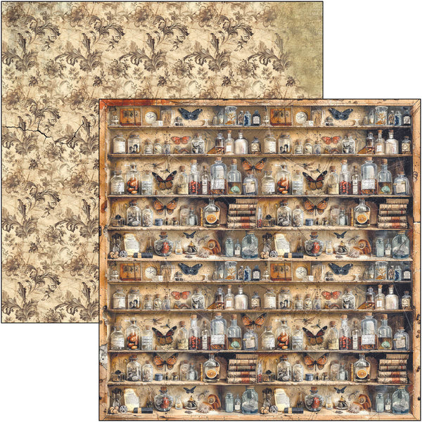 Cabinet of curiosities paper pad 12x12 (12-pk)
