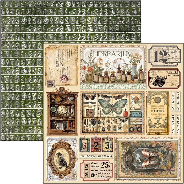 Cabinet of curiosities paper pad 12x12 (12-pk)