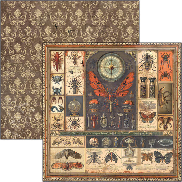 Cabinet of curiosities paper pad 12x12 (12-pk)
