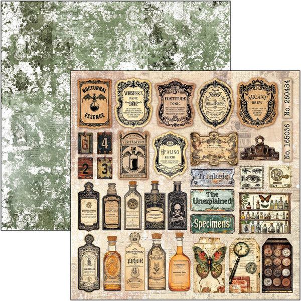 Cabinet of curiosities paper pad 12x12 (12-pk)