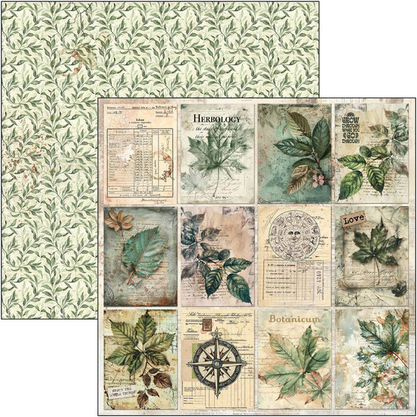 Cabinet of curiosities paper pad 12x12 (12-pk)