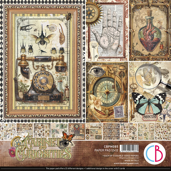 Cabinet of curiosities paper pad 12x12 (12-pk)