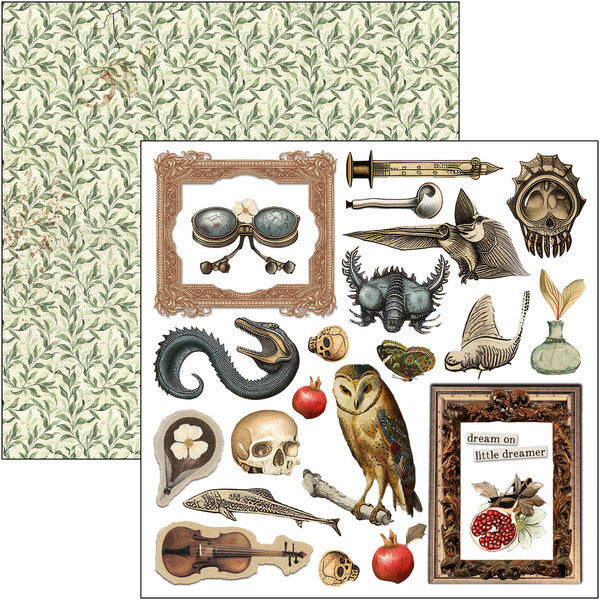 Cabinet of curiosities fussy cut pad 6x6 (24-pk)