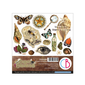 Cabinet of curiosities fussy cut pad 6x6 (24-pk)