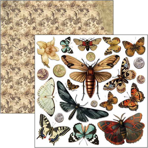 Cabinet of curiosities fussy cut pad 6x6 (24-pk)