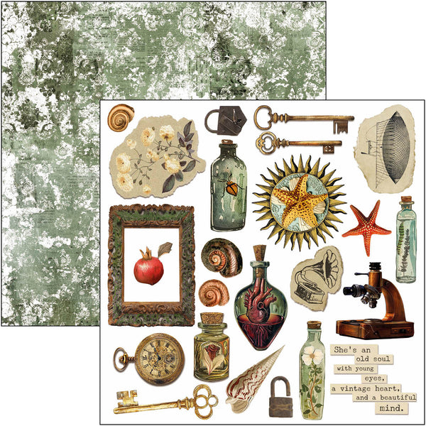 Cabinet of curiosities fussy cut pad 6x6 (24-pk)