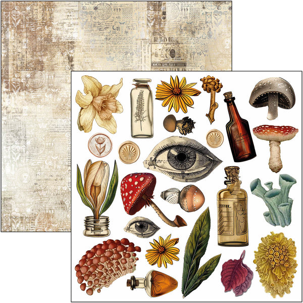 Cabinet of curiosities fussy cut pad 6x6 (24-pk)
