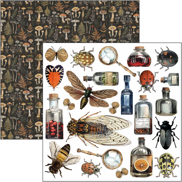 Cabinet of curiosities fussy cut pad 6x6 (24-pk)