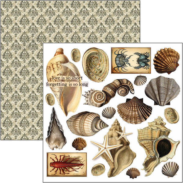 Cabinet of curiosities fussy cut pad 6x6 (24-pk)