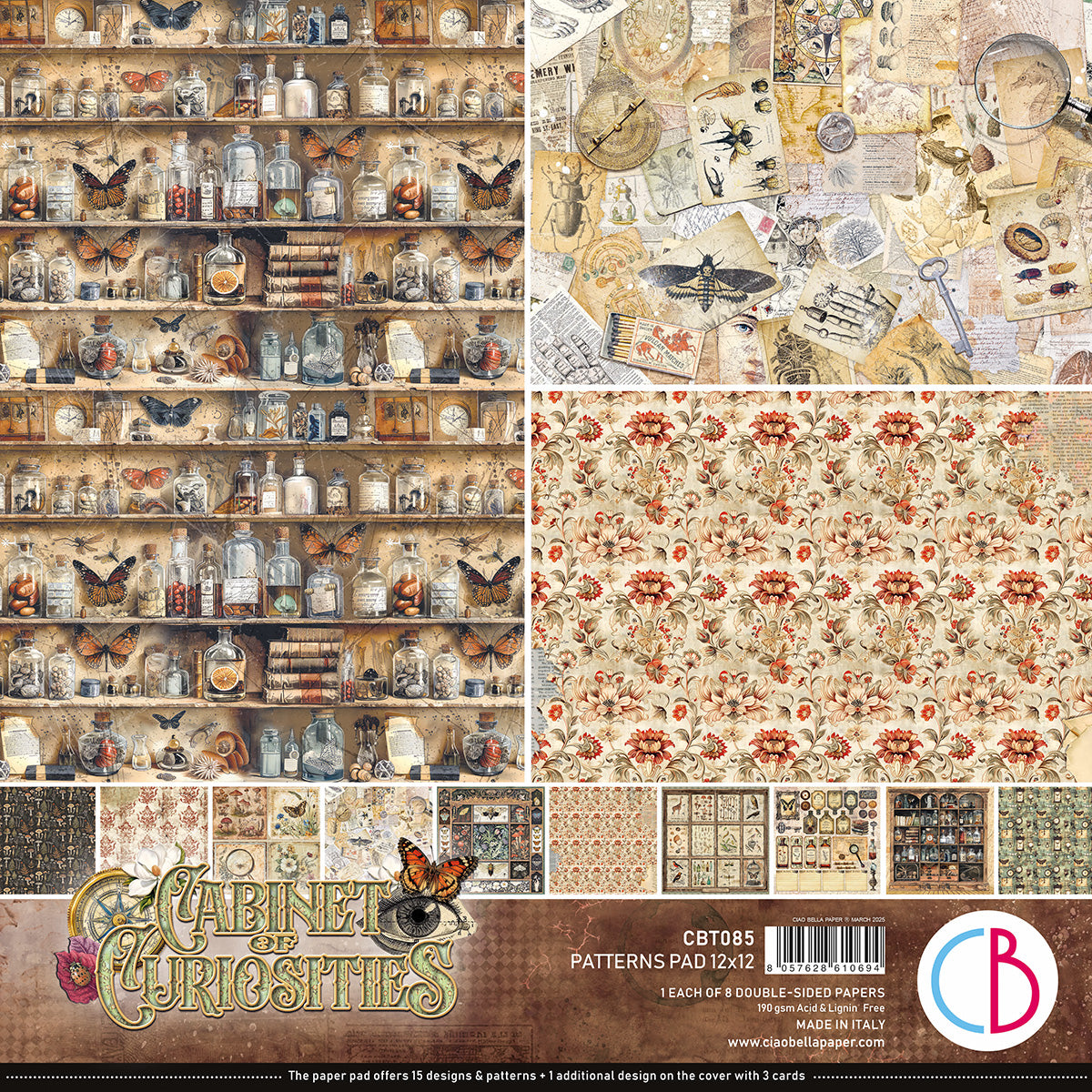 Cabinet of curiosities patterns pad 12x12 (8-pk)
