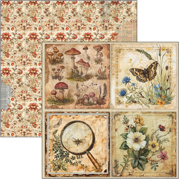 Cabinet of curiosities patterns pad 12x12 (8-pk)