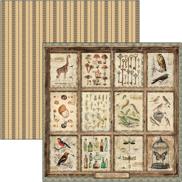 Cabinet of curiosities patterns pad 12x12 (8-pk)