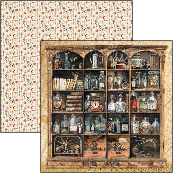 Cabinet of curiosities patterns pad 12x12 (8-pk)