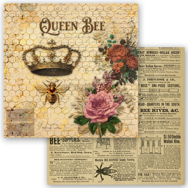Queen Bee Collection scrapbook set 6x6