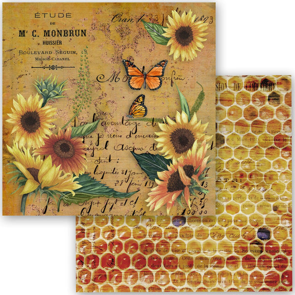 Queen Bee Collection scrapbook sett 6x6