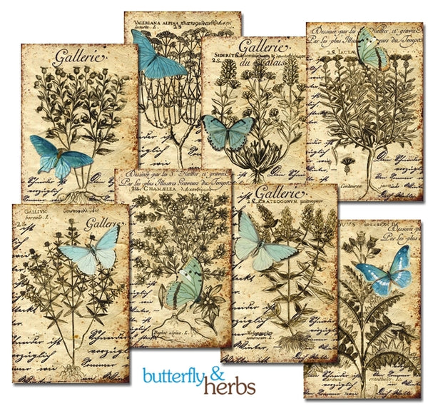 Butterfly & Herbs - MINI scrapbook papirer (24 stk)