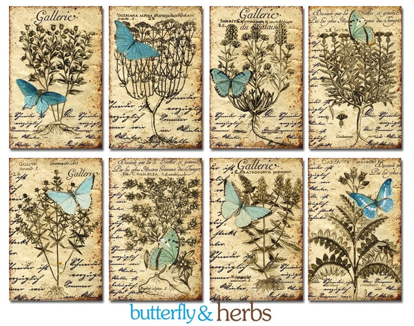 Butterfly & Herbs - MINI scrapbook papirer (24 stk)