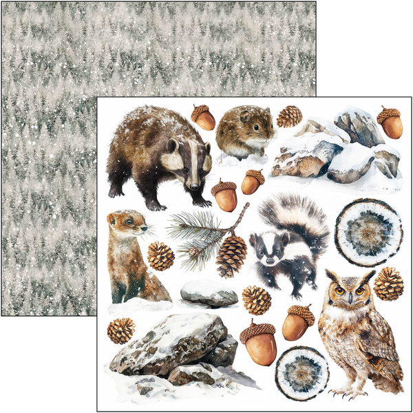 Forest Tales fussy cut pad 6x6 (24-pk)