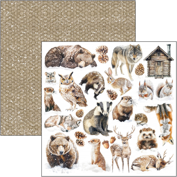 Forest Tales patterns pad 12x12 (8-pk)