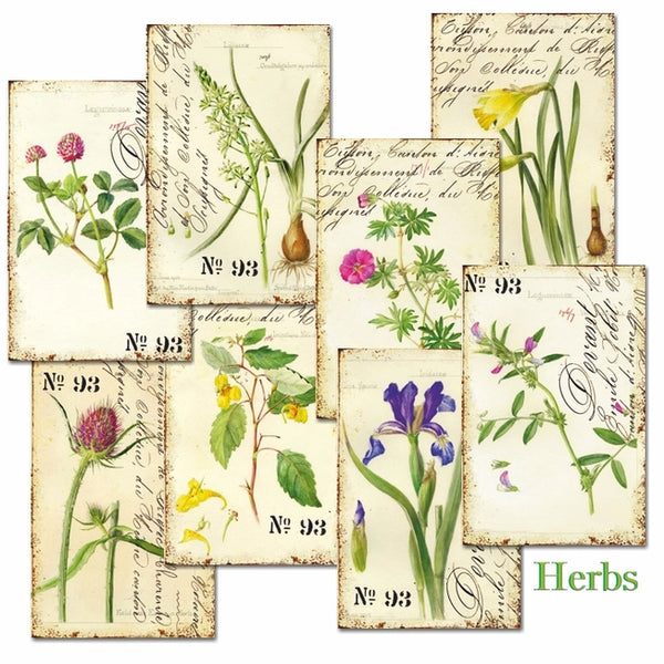 Herbs - MINI scrapbook papirer (24 stk)