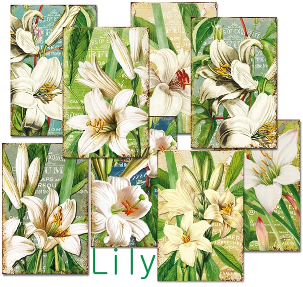 Lily - MINI scrapbook papirer (24 stk)