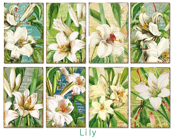 Lily - MINI scrapbook papirer (24 stk)