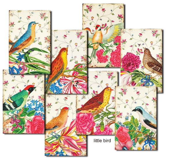 Little Bird - MINI scrapbook papirer (24 stk)