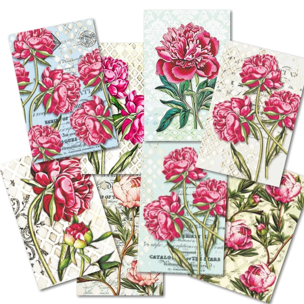 Peony - MINI scrapbook papirer (24 stk)