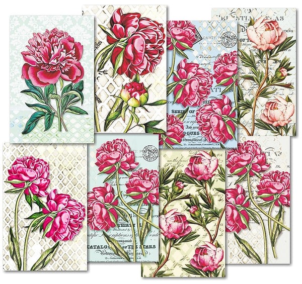 Peony - MINI scrapbook papirer (24 stk)