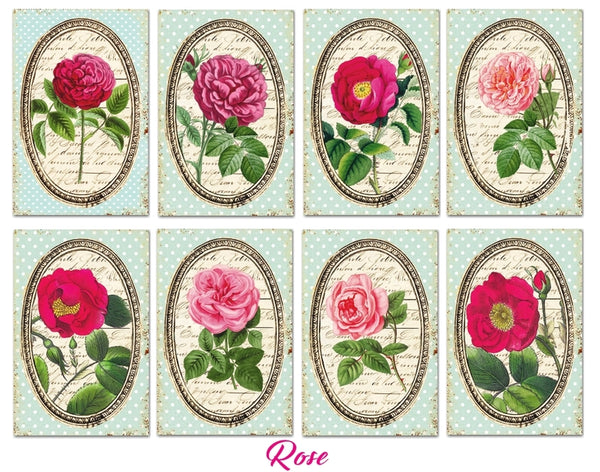 Rose - MINI scrapbook papirer (24 stk)