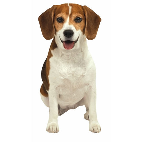 Beagle die-cut double card (blank inside)