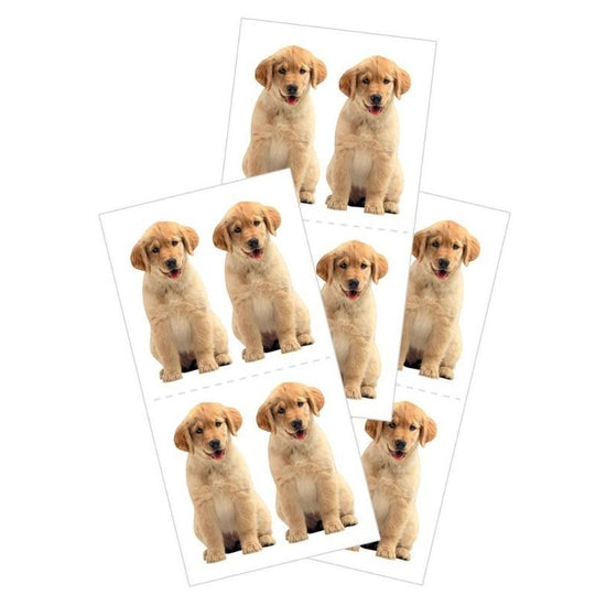 Golden Retriever puppies stickers