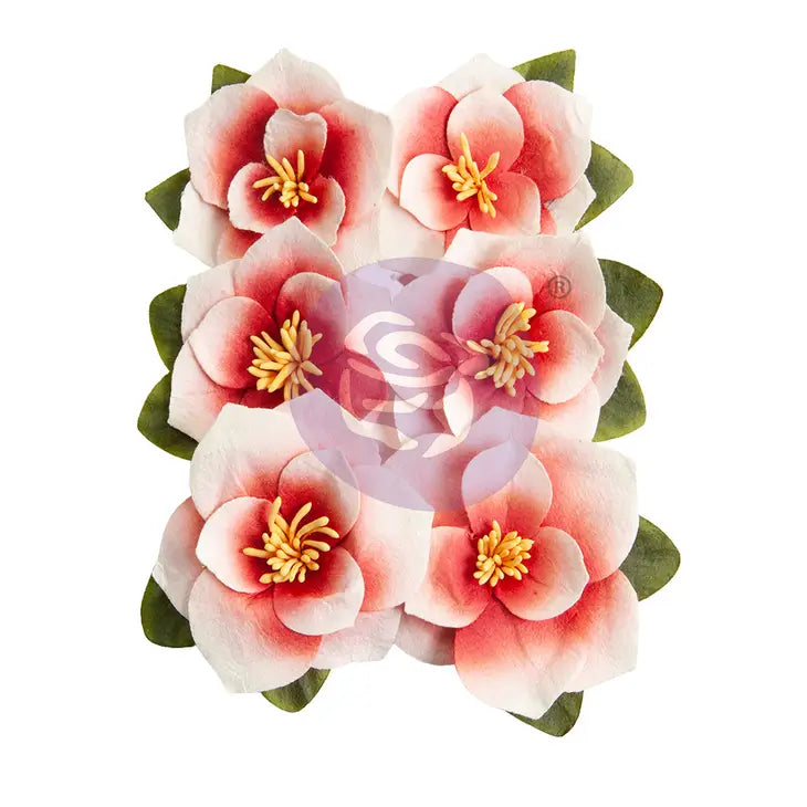 Magnolia Rouge - Blushing Florals flowers