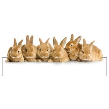 Rad med kaniner die-cut dobbelt kort (blank innside)